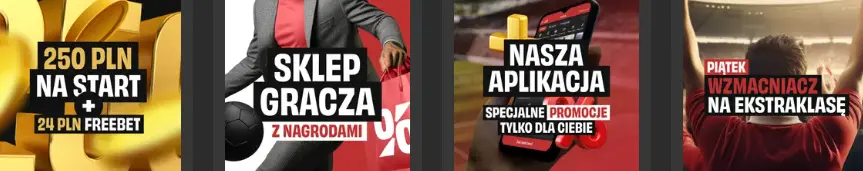 Oferta bonusowa dostępna w PZBUK PL
